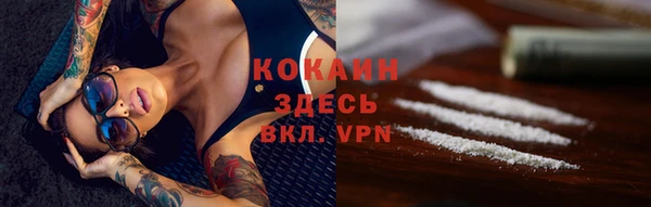 стафф Арсеньев