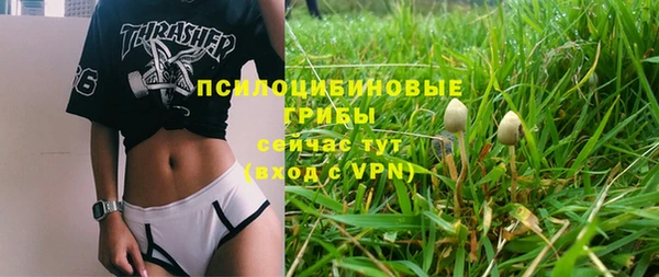стаф Армянск