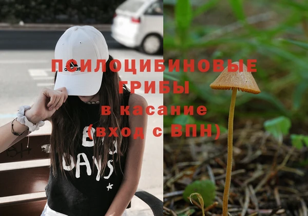 стаф Армянск