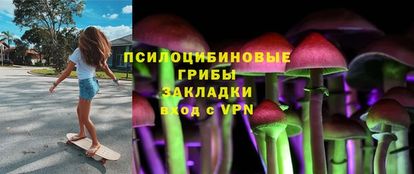 эйфоретик Баксан