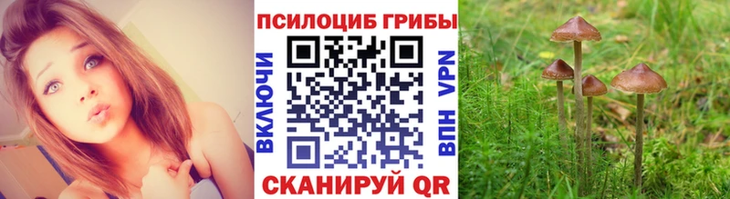 Галлюциногенные грибы мицелий Нурлат