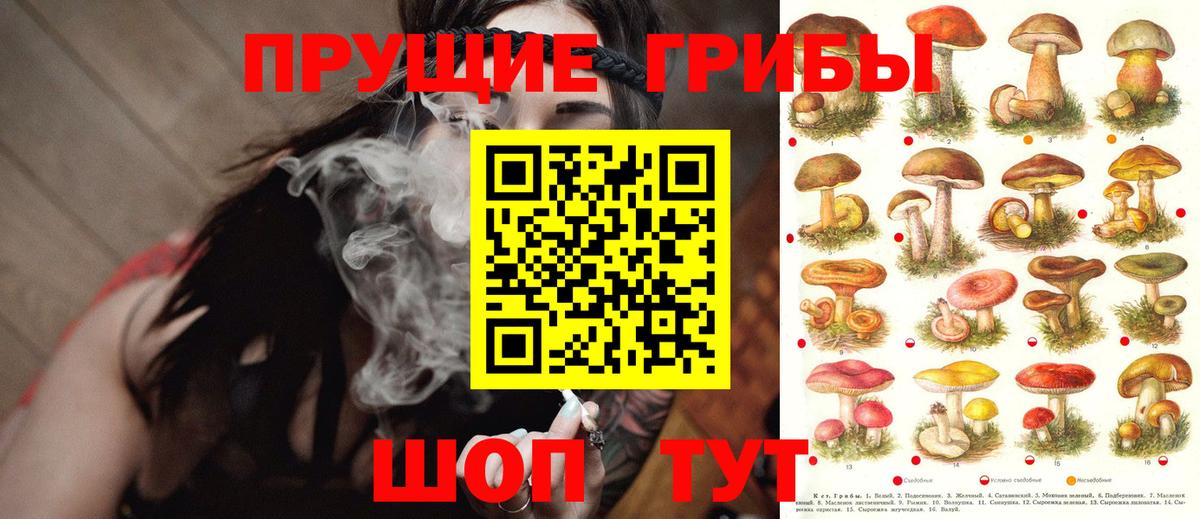 Галлюциногенные грибы GOLDEN TEACHER Нурлат