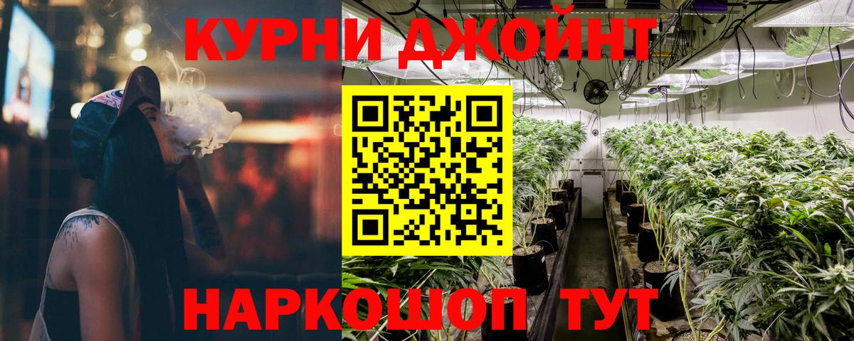 Каннабис сатива Нурлат